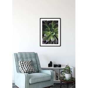 Komar Wandbild Succulent Single, 30x40 cm, Nahaufnahme einer grünen Sukkulente im schwarzen Rahmen.