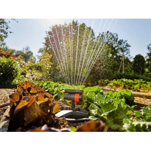 Gardena Viereckregner Aqua Zoom Compact bewässert Gemüsebeet. Regner mit Wasserstrahlen im Einsatz.