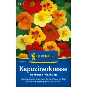 Mehrfarbige Kapuzinerkresse Rankmischung von Kiepenkerl. Blühende Kletterpflanze mit roten, gelben und orangen Blüten.