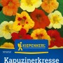 Mehrfarbige Kapuzinerkresse Rankmischung von Kiepenkerl. Blühende Kletterpflanze mit roten, gelben und orangen Blüten.