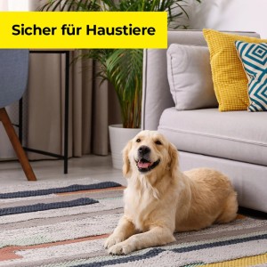 Golden Retriever liegt entspannt im Wohnzimmer. Protect Home Mausefalle ist sicher für Haustiere.