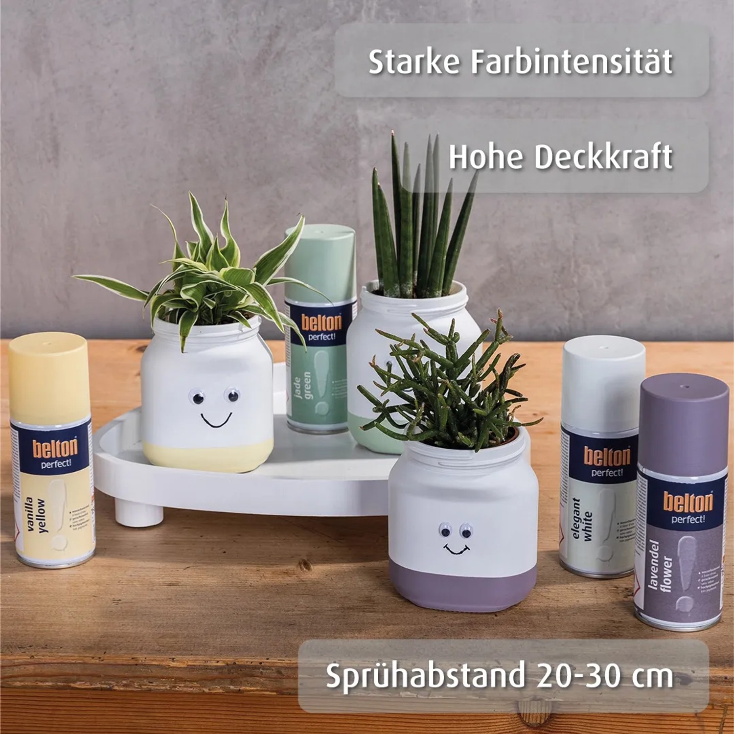 belton Buntlack Perfect Lavendel Flower seidenmatt, 150ml, mit Farbbeispielen in bepflanzten Töpfen.