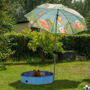 Blauer, faltbarer Relaxdays Hundepool (80 cm) mit Hund und Sonnenschirm im Garten.