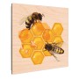 Banjado Schlüsselbox mit Bienenmotiv auf Honigwaben, Holzfront, 50 Haken.