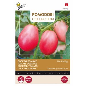 Tomate 'Pink Thai Egg' Buzzy Pomodori Samen Circa 1,5 g Kompakt Wachsend