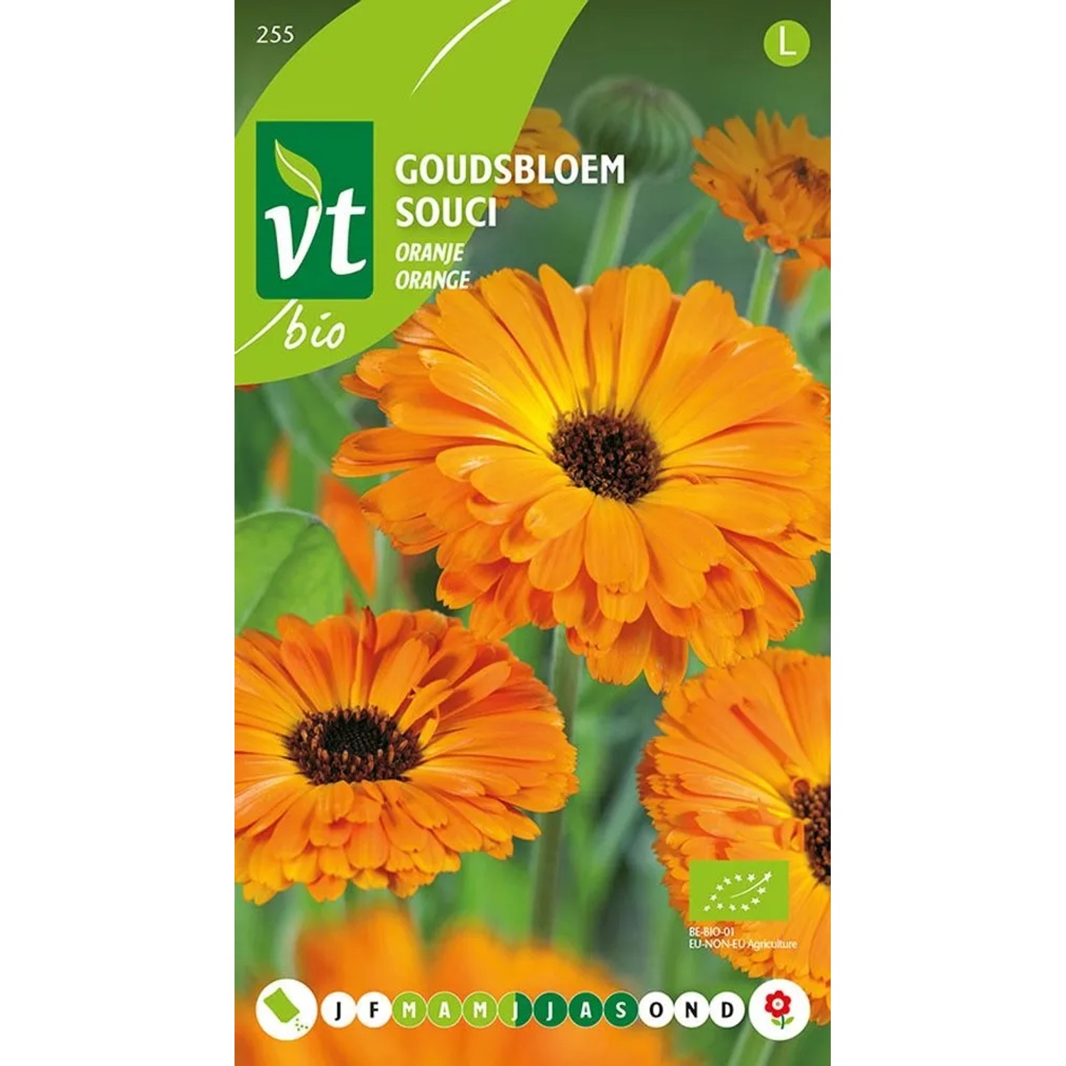 Ringelblume Saatgut ca. 2 g Orange Blüten