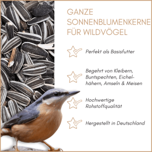 Supravit Sonnenblumenkerne Vogelfutter Ganzjahresfutter