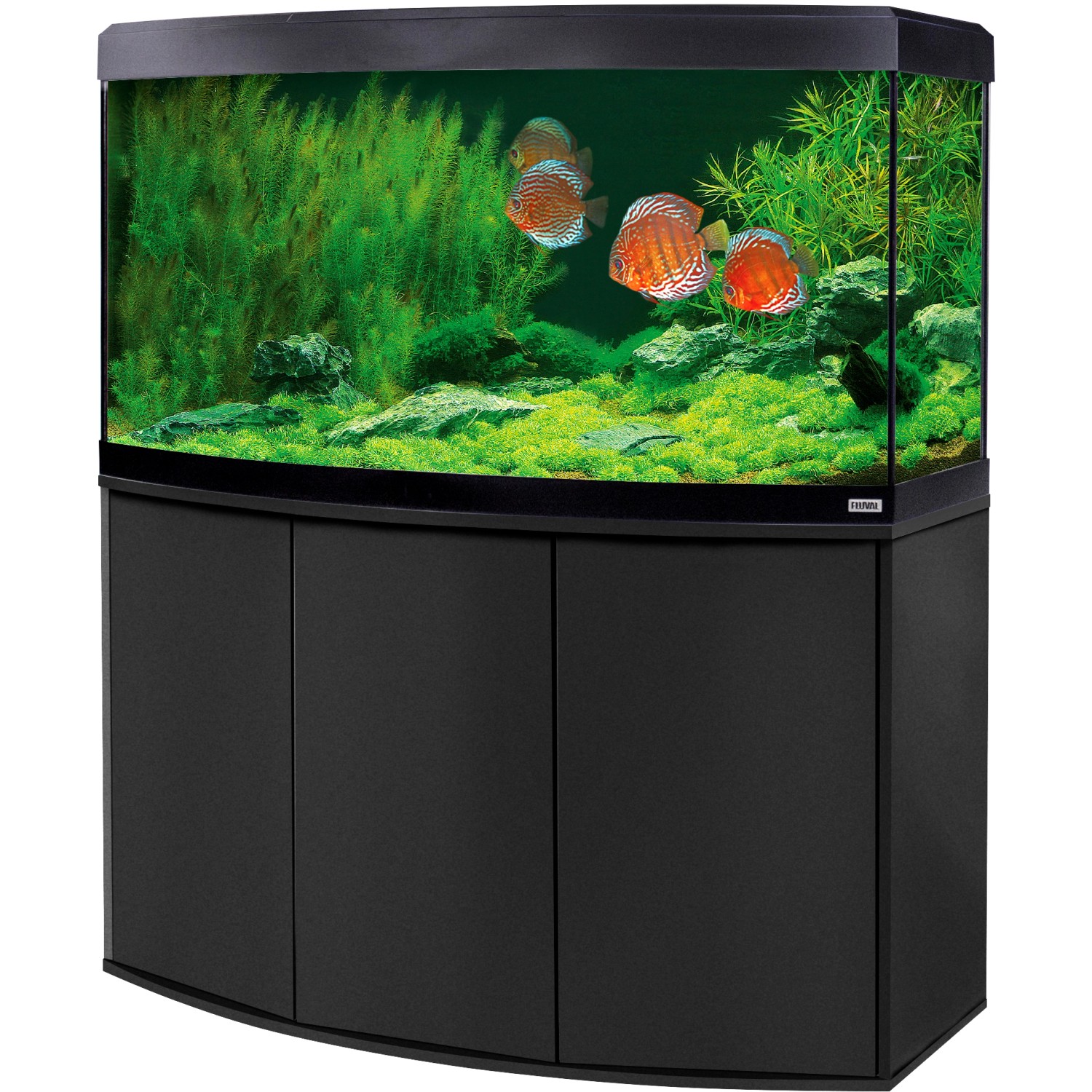Eheim Aquarium-Kombination Incpiria 430 Gold 430 l - Limited Edition FSC®  kaufen bei OBI