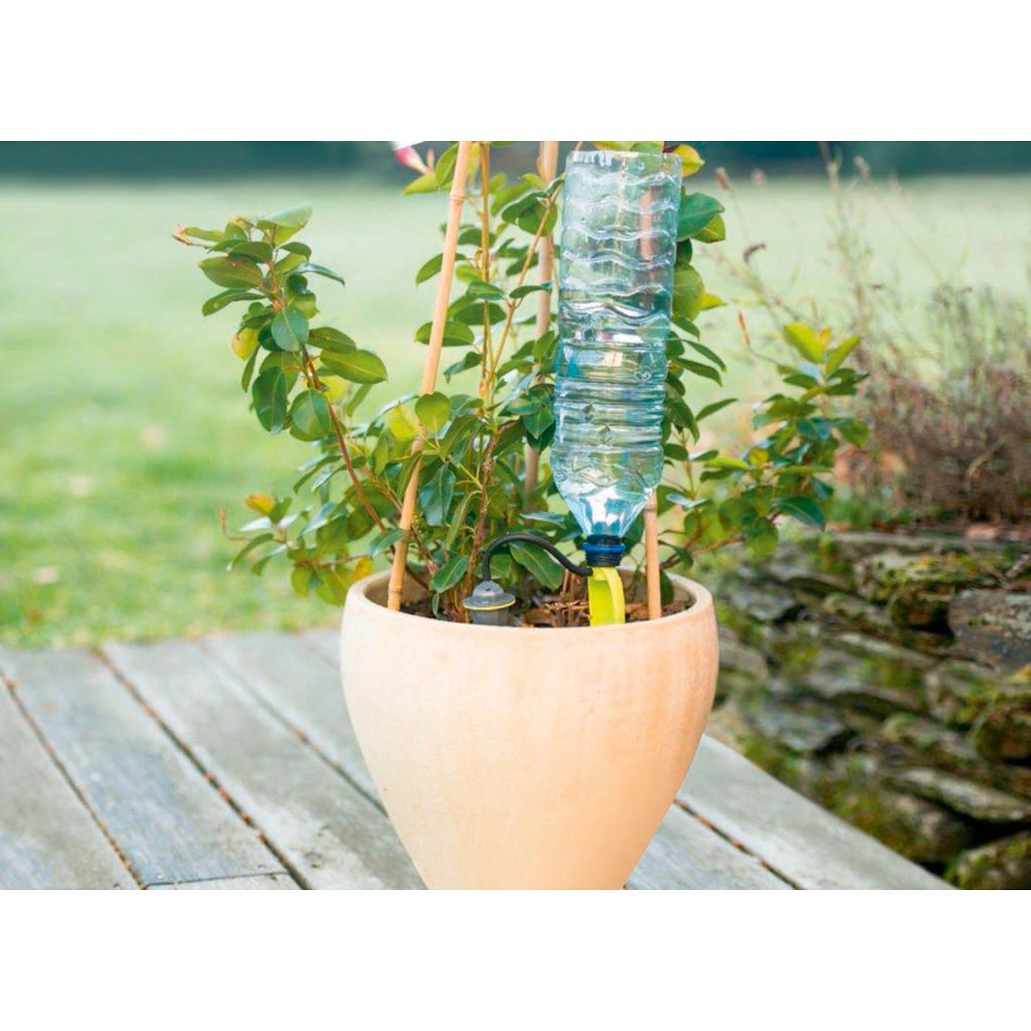 Tropfsystem Iriso für Blumentopf mit PET-Flasche zur automatischen Bewässerung.