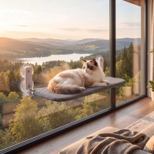 Katze auf dunkelgrauer Wiltec Fudajo Fensterliege mit Saugnäpfen, Blick auf See und Wald.