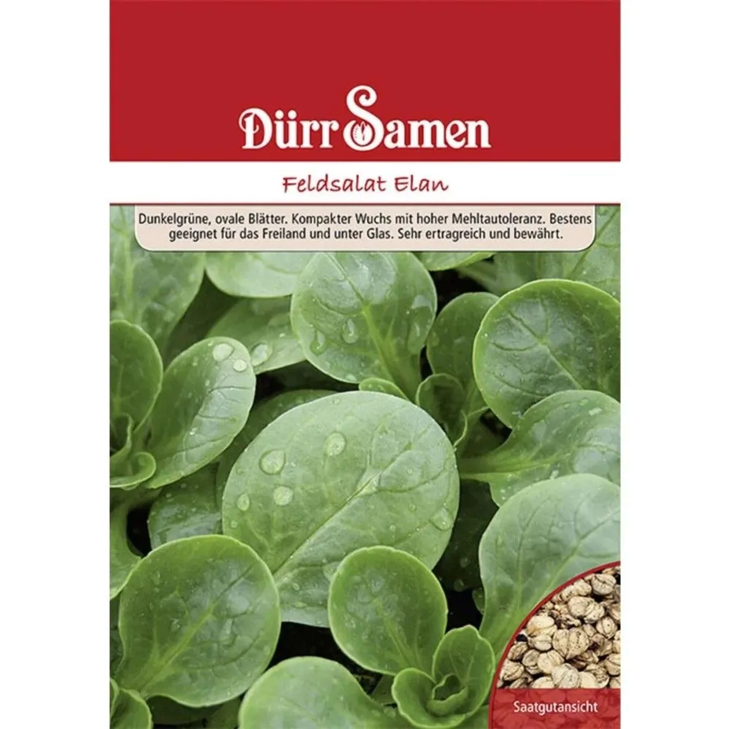Dürr Samen Feldsalat Elan 250 G Saatgut