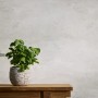 A.S. Creation Vliestapete Abstrakt Landschaft in Weiß-Grau mit Pflanze auf Tisch.