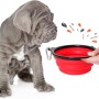 Faltbarer Reisenapf für Hunde, rot, mit Karabinerhaken, neben einem sitzenden, grauem Hund.