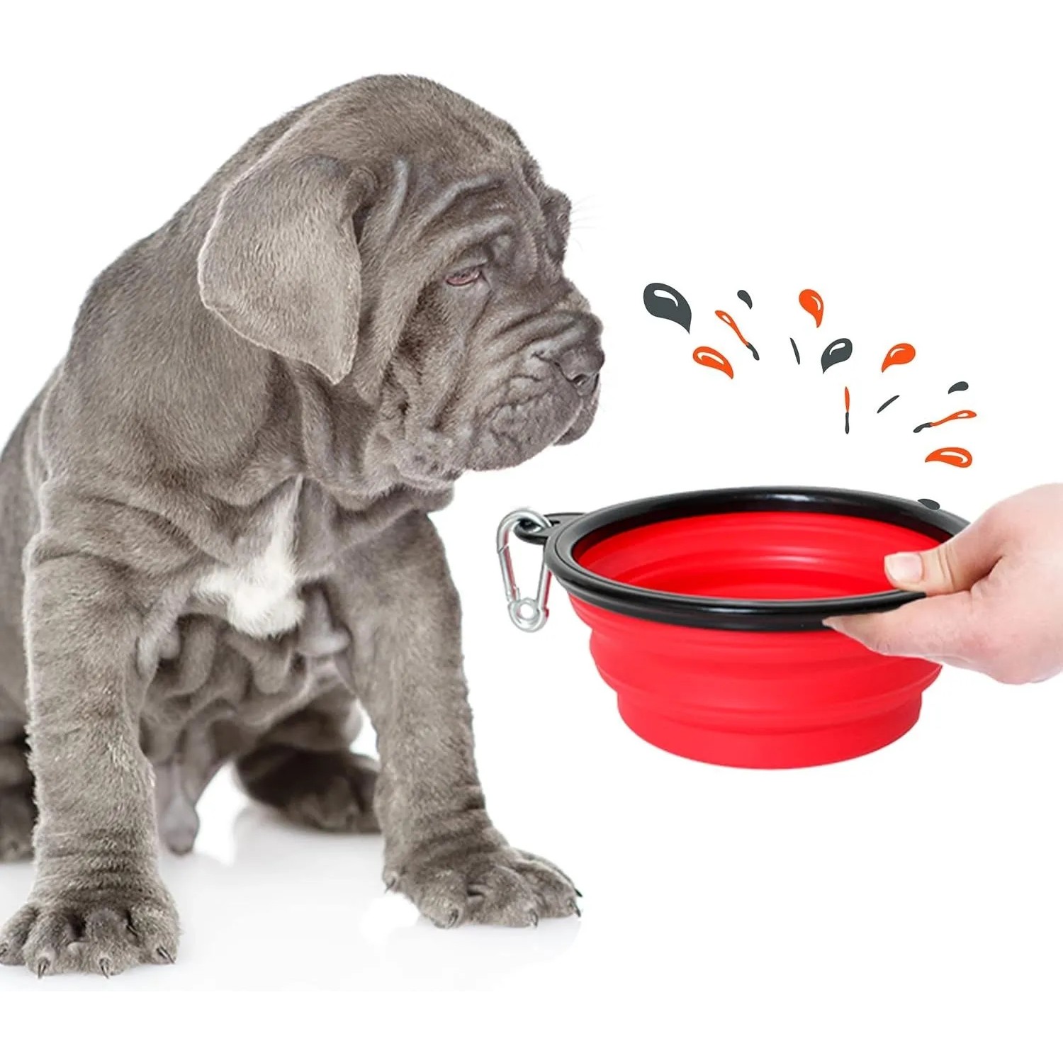 Faltbarer Reisenapf für Hunde, rot, mit Karabinerhaken, neben einem sitzenden, grauem Hund.