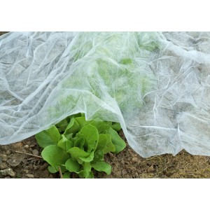 Floraworld Garten-/Wintervlies (10x1,5m) schützt Salat im Garten vor Frost und Schädlingen.