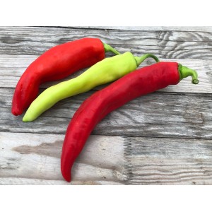 Blu Bio-Spitzpaprika Conored, rote und grüne Paprika auf Holz.