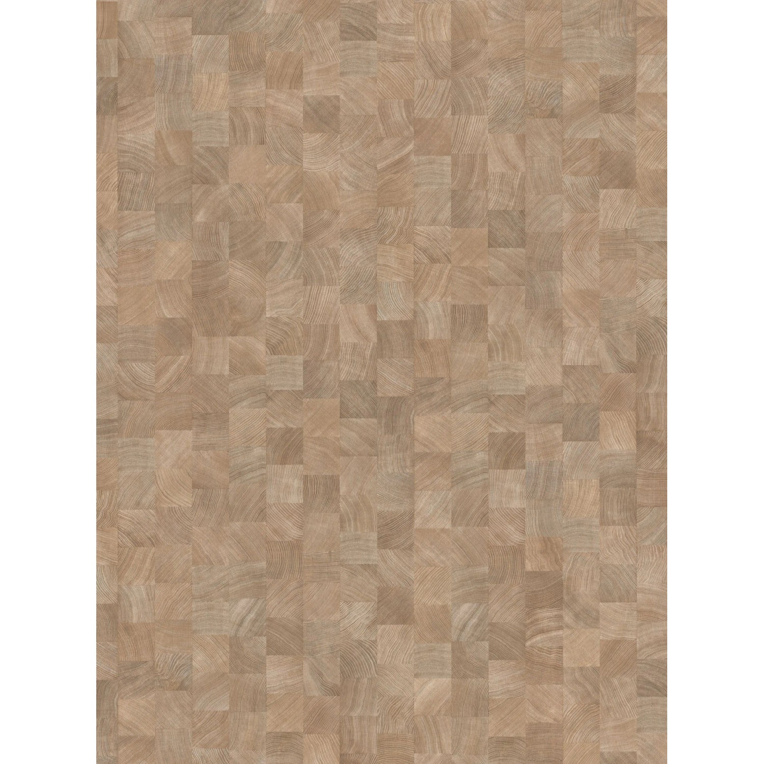 Parador Laminatbodenmuster Basic 400 Eiche Hirnholz Gekälkt