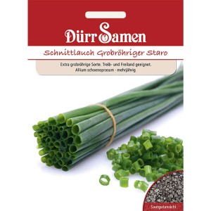 Dürr Samen Schnittlauch Staro Grobröhrig: Saatgut-Packung mit frischem Schnittlauch und Saatgutanblick.