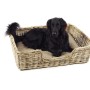 Kobolo Hundekorb aus Stabilem Rattan Geflochten mit Kissen Gr L 94Lx74B cm_2
