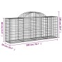 vidaXL Gabionen Hochbeet mit Bogen, 11 Stk, 200x50x80/100cm, aus verzinktem Eisen.