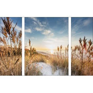 Glasbild Wilder Strand III, 120x80 cm, 3-teilig. Landschaft mit Strandhafer im Sonnenlicht.