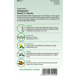 SAMEN PFANN Salatgurke Merlin F1