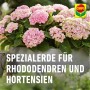 Compo Sana Rhododendronerde 1 x 20 l_6
