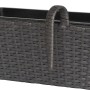 Anthrazit-schwarzer Polyrattan Balkonkasten 40x28x22 cm für Balkonpflanzen.