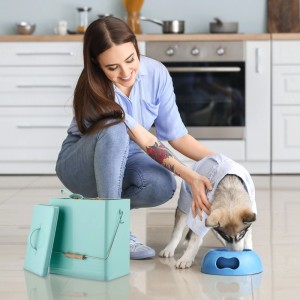 Relaxdays Futterbox 2er Set Eisen Bambus Kunststoff Türkis Luftdicht Mit Löffel 36,5 cm x 21 cm x 28,5 cm 26 cm x 16,5 cm x 19 cm