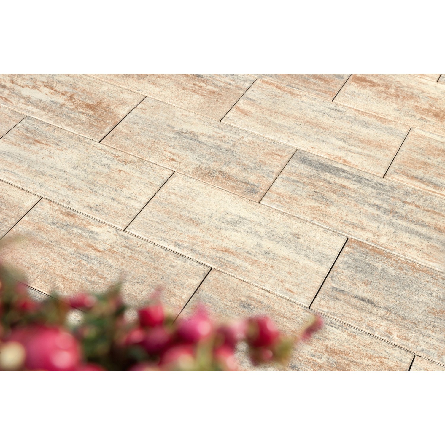 Diephaus Terrassenplatte Corso Muschelkalk, 60x30x4 cm, für stilvolle Terrassen & Gehwege.