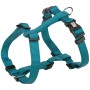Jollypaw H-Geschirr aus Gurtband, petrol, Größe 30-40 cm, für Hunde.