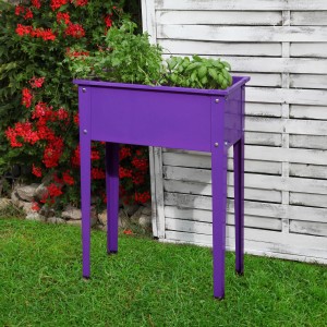 Lila Floraworld Hochbeet Season, 60x30x80 cm, aus Stahlblech mit Kräutern bepflanzt.