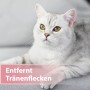 Silber getigerte Katze, entspannt, mit Hinweis auf Felisept Augenpflege-Pads gegen Tränenflecken.