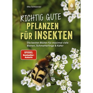 Richtig gute Pflanzen für Insekten