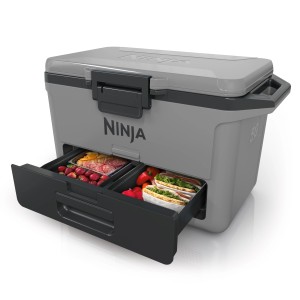 Ninja Kühlbox FrostVault, schiefergrau, mit Trockenzone und Lebensmitteln. Ideal für Camping und Picknick.