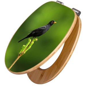 Banjado WC-Sitz aus Bambus mit Vogel auf Tannenzweig Motiv und Absenkautomatik.