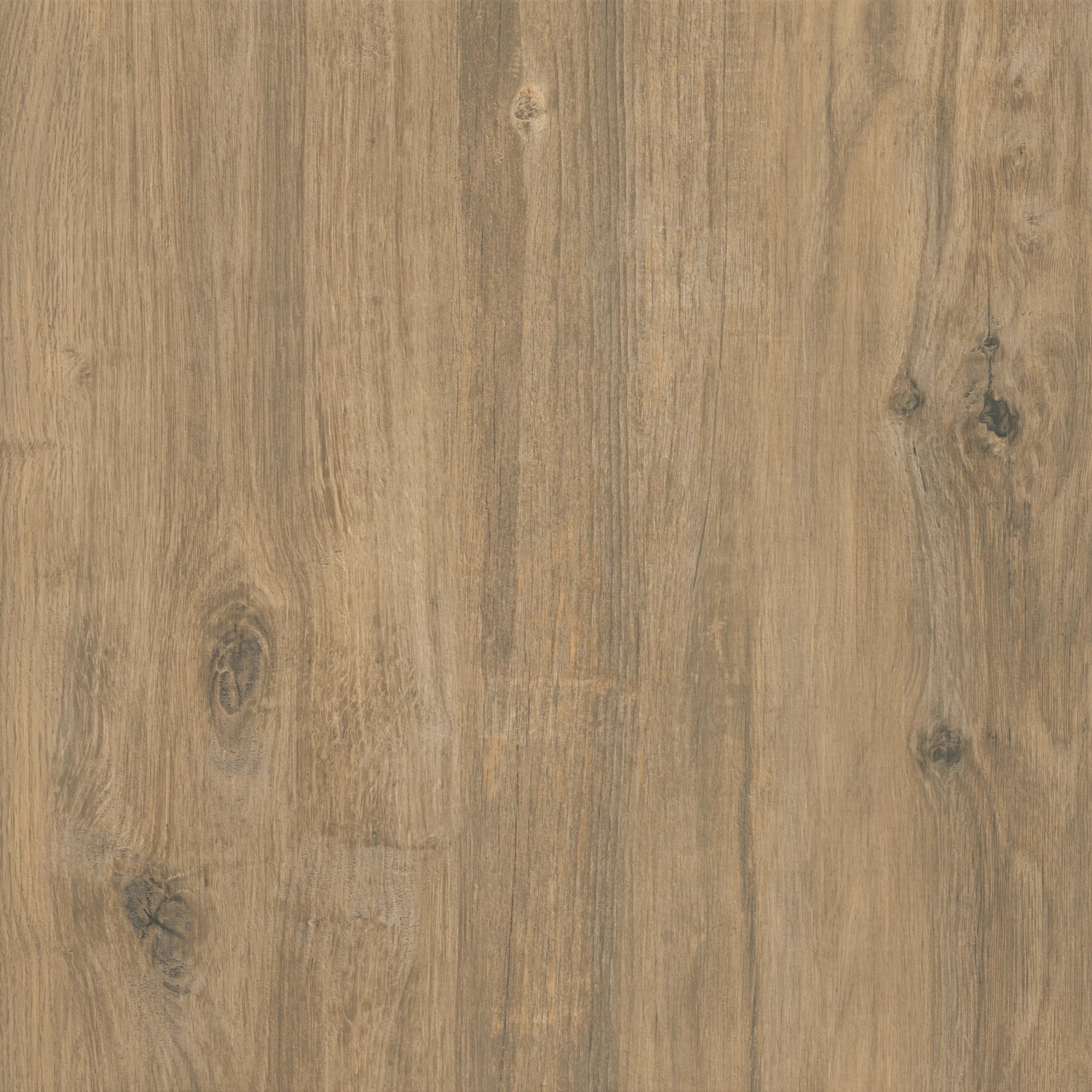 Cersanit Terrassenplatte Wood Moments hellbraun, Feinsteinzeug mit Holzoptik, 59,3x59,3 cm.