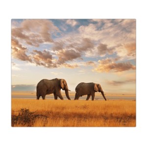 Banjado Herdabdeckplatte aus Glas mit Elefantenmotiv, 60x52cm, auch als Schneidebrett nutzbar.