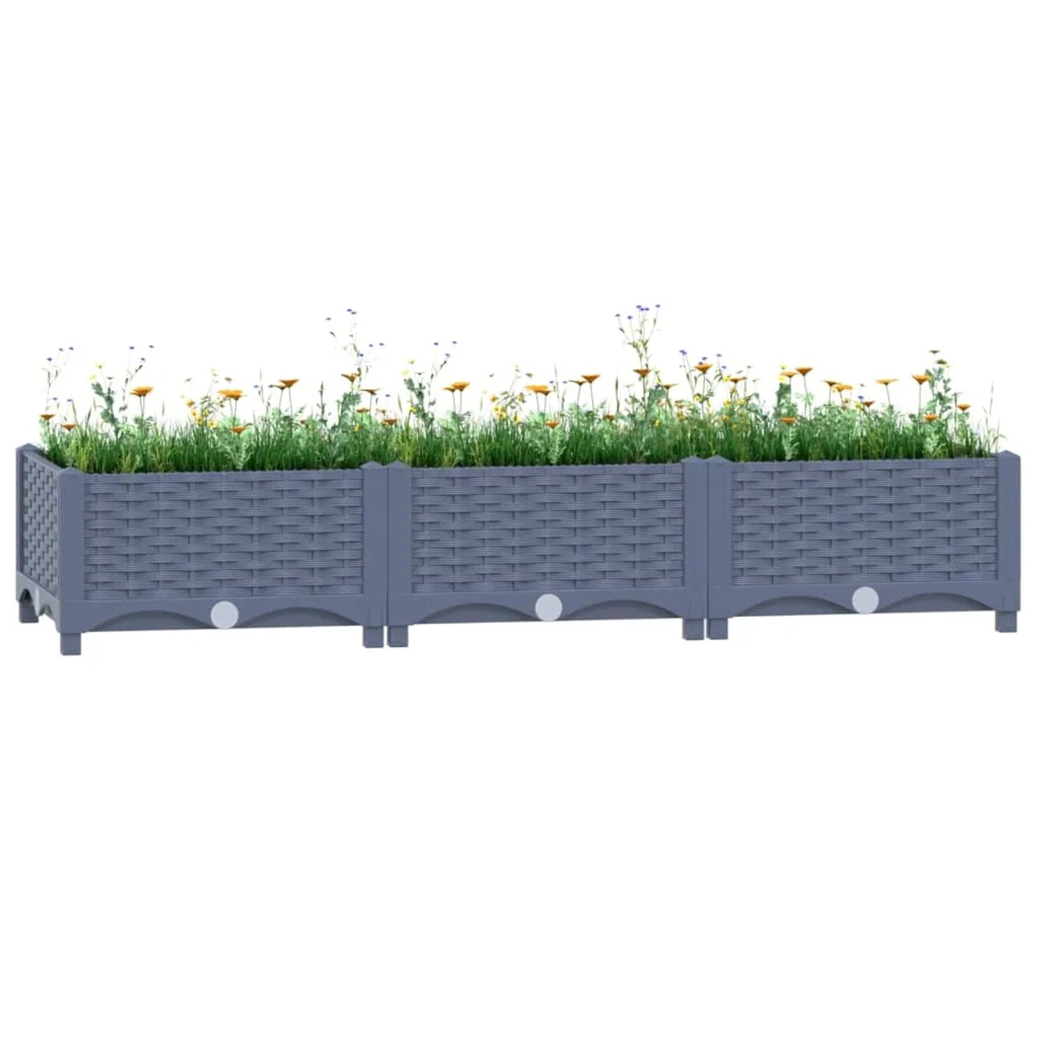 furnicato Hochbeet 120x40x23 cm Polypropylen