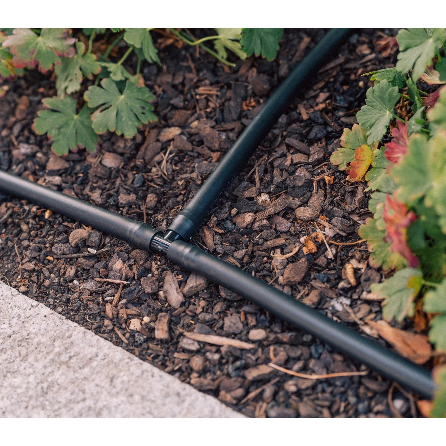 Geka Drip-Set zur Bewässerung von Hecken und Beeten, Detailaufnahme des Tropfrohr-Systems.