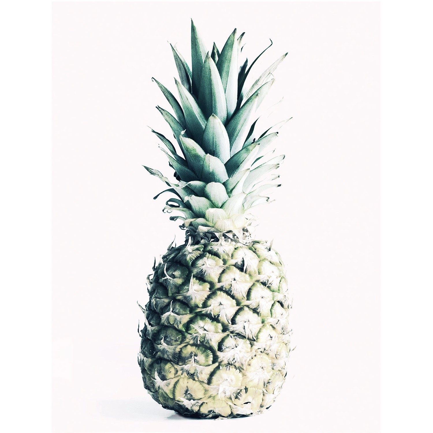 Komar Wandbild Pineapple 40 x 50 cm