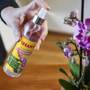 Seramis Vitalspray für Orchideen, 250ml Flasche in Anwendung auf Orchidee.