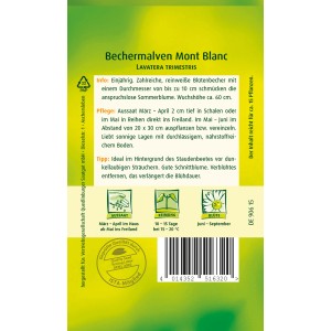 Samentüte Quedlinburger Bechermalve 'Mont Blanc', weiße Sommerblume für Beet und Rabatte.