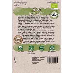 Bio-Spinat Dunkelgrün Samen von Quedlinburger für den Anbau im Garten.