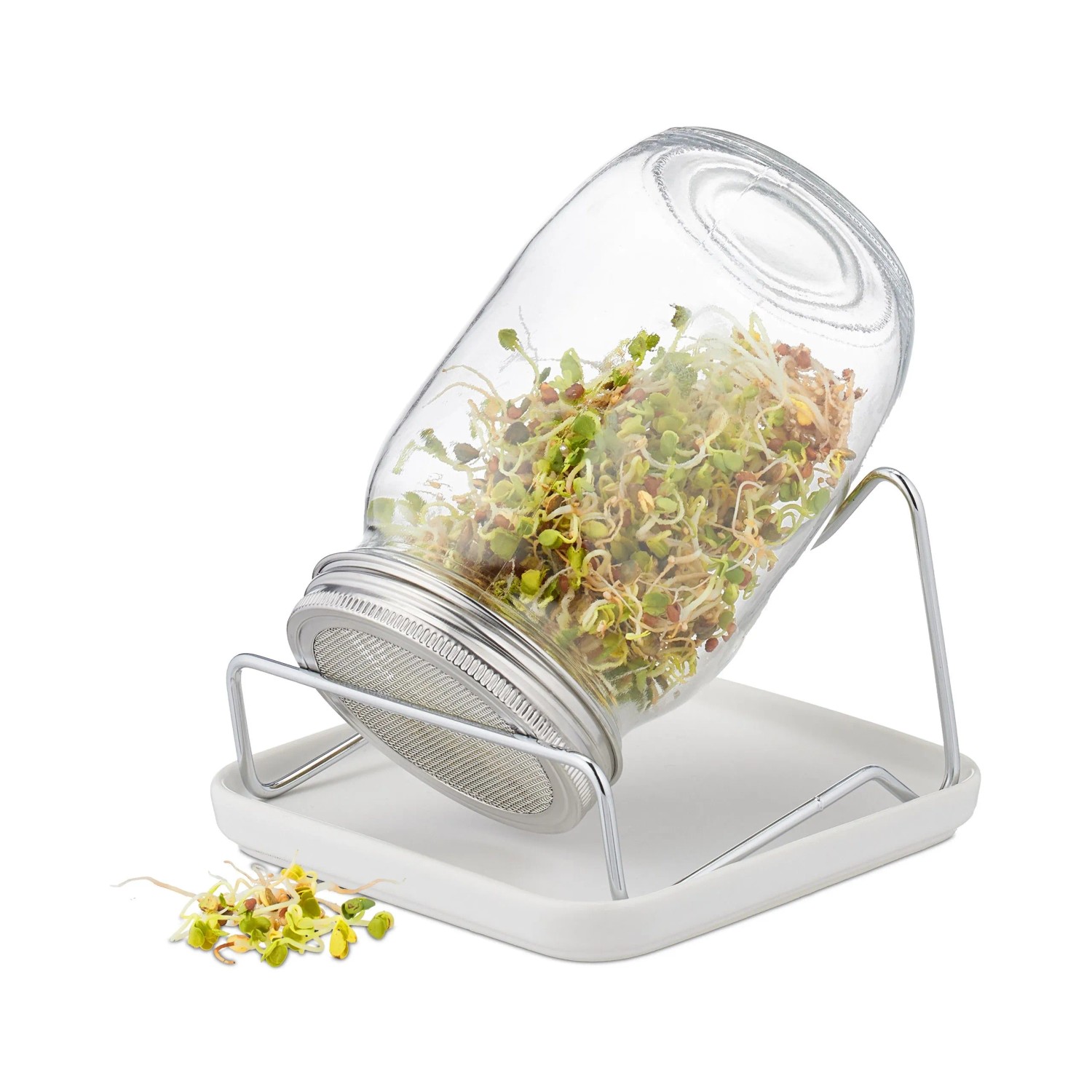 Relaxdays Sprossenglas mit Gestell und Schale Glas Transparent Spülmaschinengeeignet 17,5 cm x 15 cm x 18 cm 0,8 kg