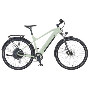 Prophete E-Bike ATB Stack 2.9, 29 Zoll, salbeigrün matt. Herren E-Mountainbike mit Gepäckträger und Hinterradmotor.