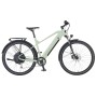 Prophete E-Bike ATB Stack 2.9, 29 Zoll, salbeigrün matt. Herren E-Mountainbike mit Gepäckträger und Hinterradmotor.