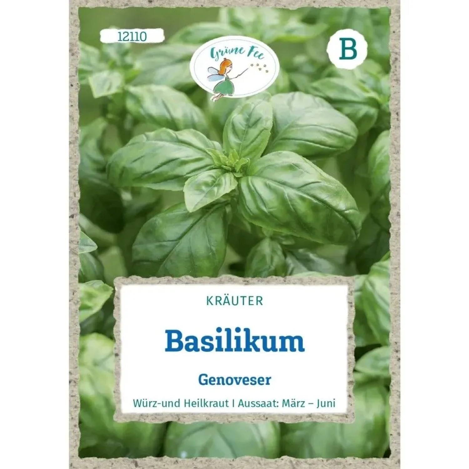 Grüne Fee Basilikum Genoveser Saatgut