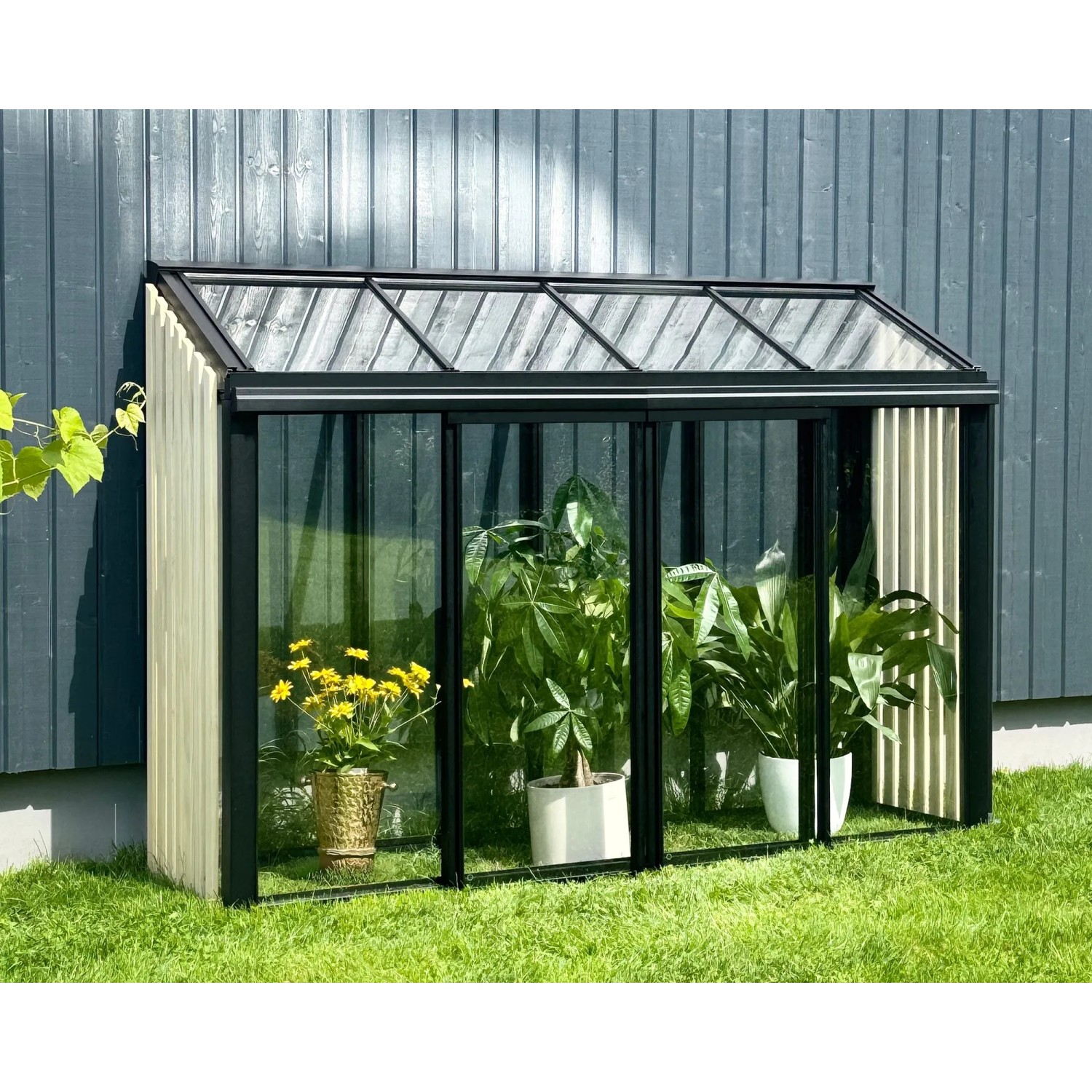 Bloomcabin Premium-Qualität Gewächshaus Mini mit Accoya Fusion GHMAF3