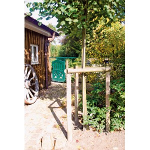 Baum mit T & J Baumpfahl/Holzpfosten Grün 6x100cm zur Stabilisierung im Garten.